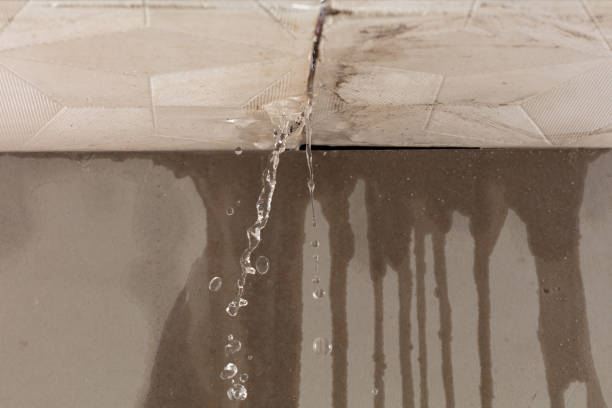 Professional Burst Pipe Cleanup technician working in Clermont, GA